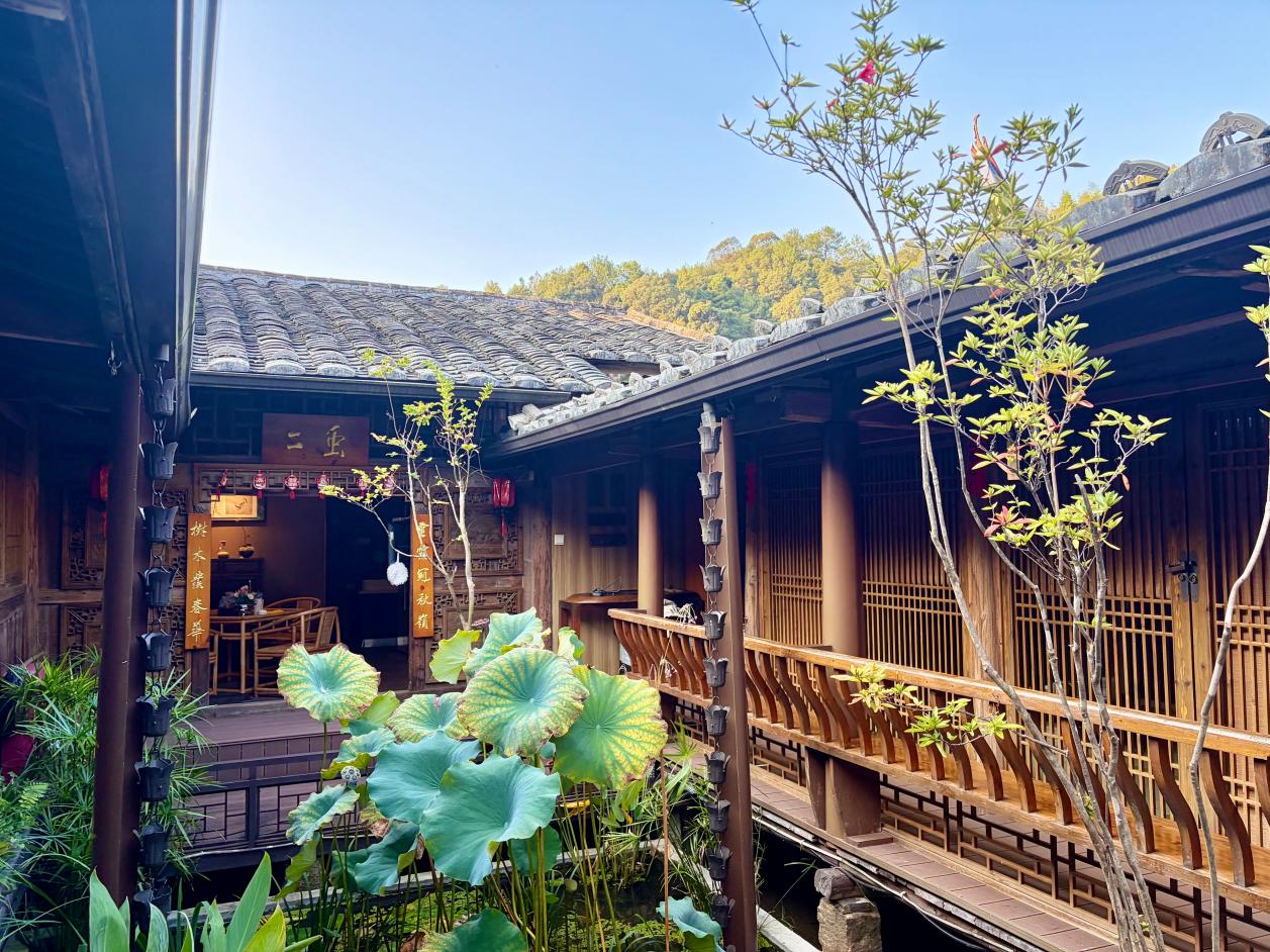 福建尤溪桂峰村：八百年文脉，生生不息