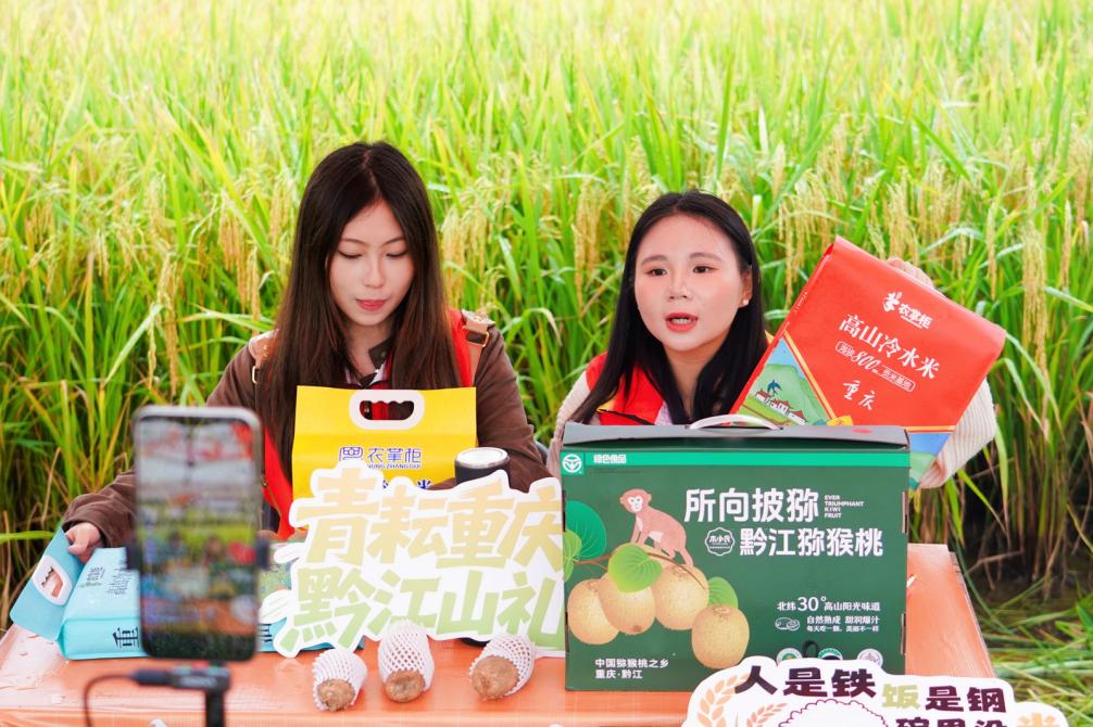 劳模助力田间开播，一场土家“摸秋”解锁别样丰收！