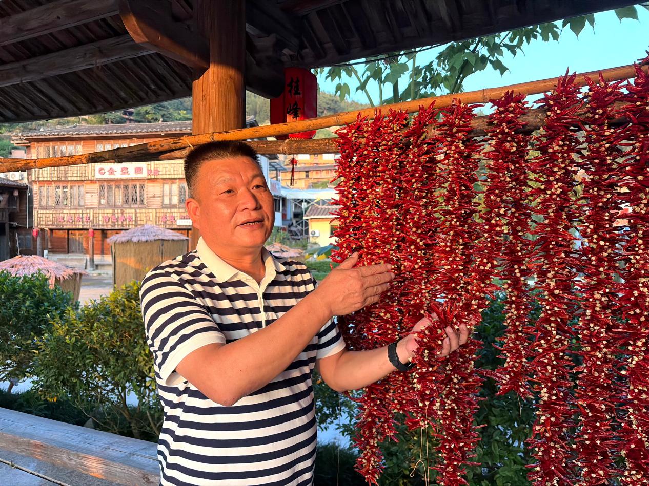 福建尤溪桂峰村：八百年文脉，生生不息