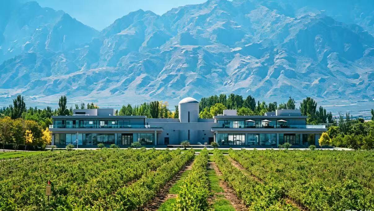 串珠成链聚新风 贺兰山东麓文明实践带长成靓丽风景线