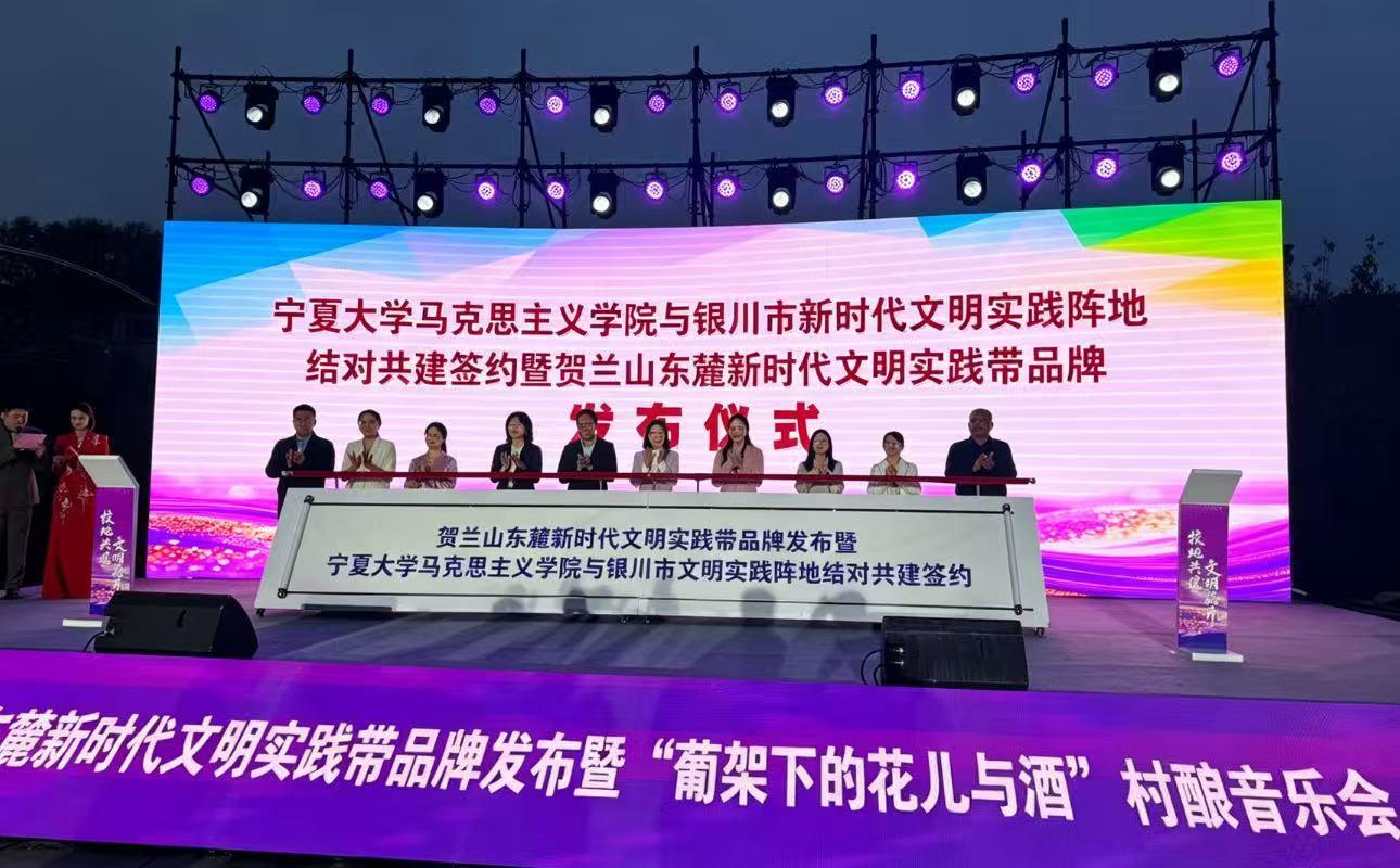 串珠成链聚新风 贺兰山东麓文明实践带长成靓丽风景线