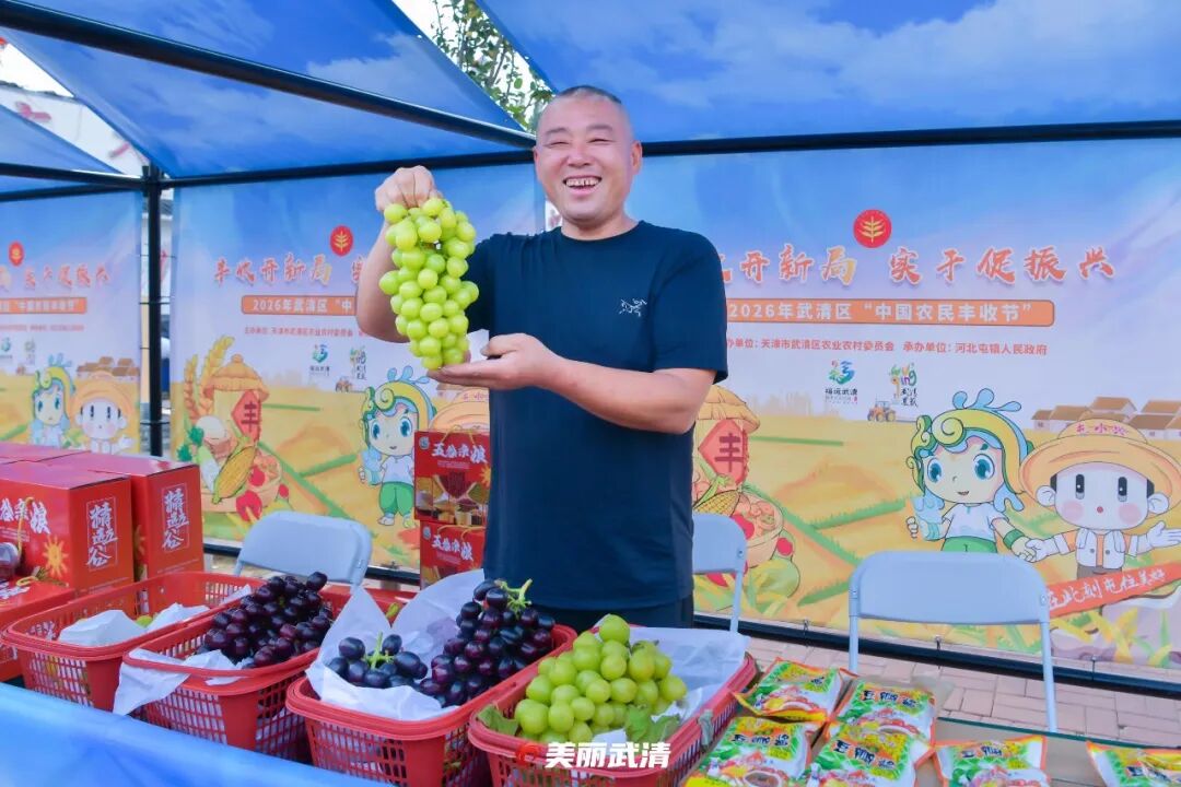 逛大集、玩农趣、庆丰收! 金秋雍阳好“丰”景!