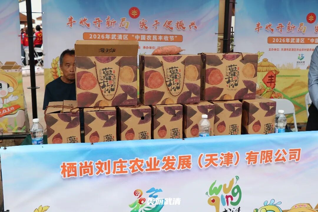 逛大集、玩农趣、庆丰收! 金秋雍阳好“丰”景!