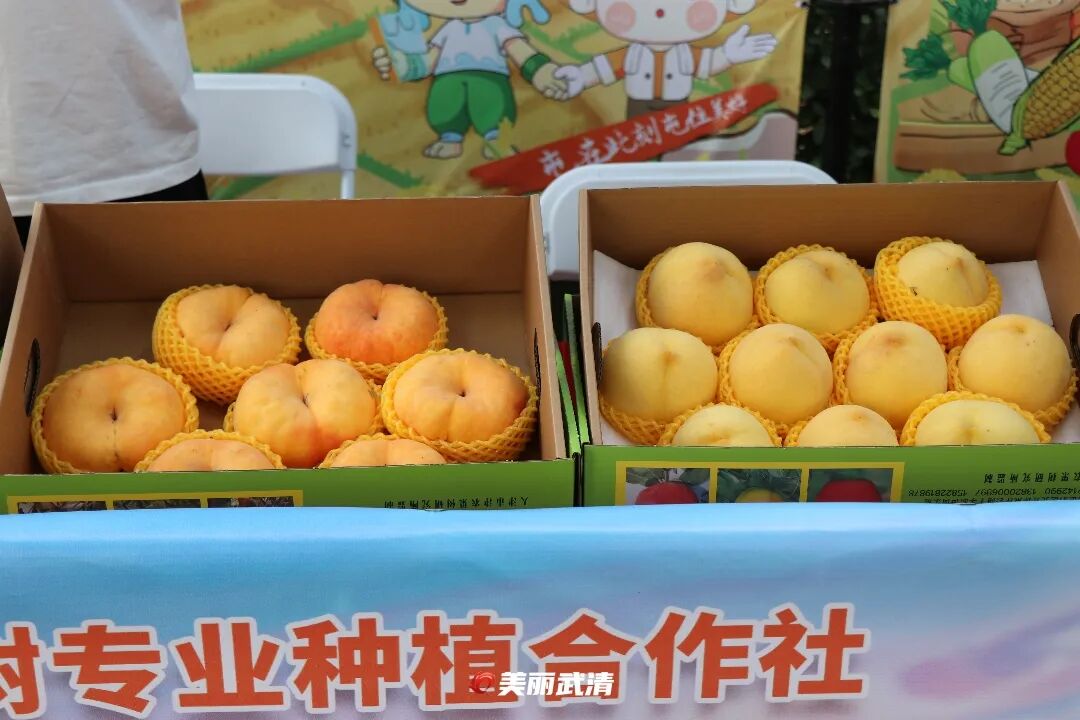 逛大集、玩农趣、庆丰收! 金秋雍阳好“丰”景!