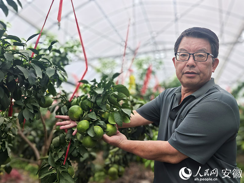 潘家银和他的“红美人”。人民网记者 汪瑞华摄
