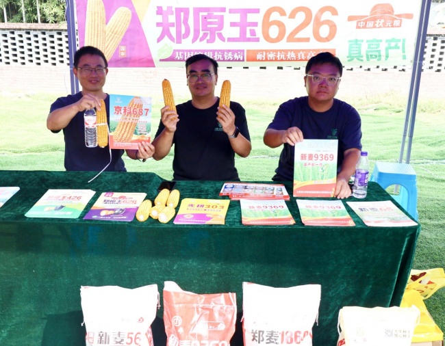 河南博爱：以节为媒庆丰收！本土好物+非遗展演绘就和美乡村新画卷