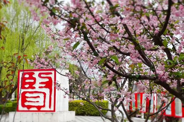 美好生活，从奉浦起步——十年奋进，青春之城向新而行