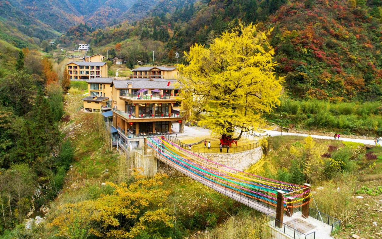 何方家国丨“新重庆・老地名・边界行”走进重庆城口：地名活化撬动省际边区发展革新