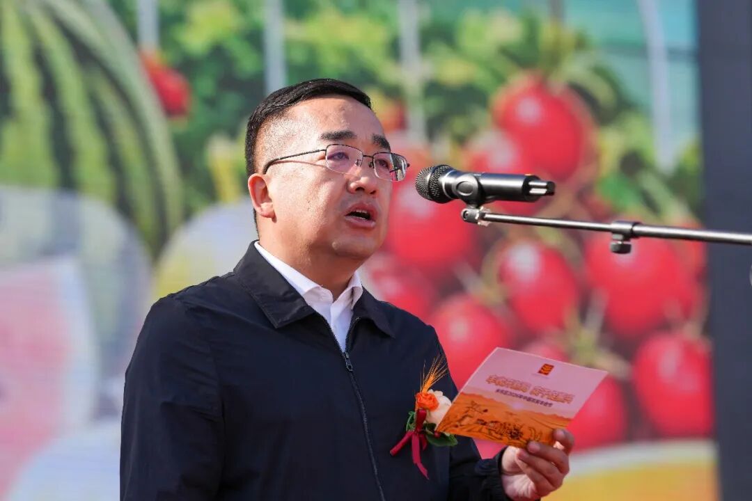 米东区举办“丰收开新局 实干促振兴”2026年中国农民丰收节