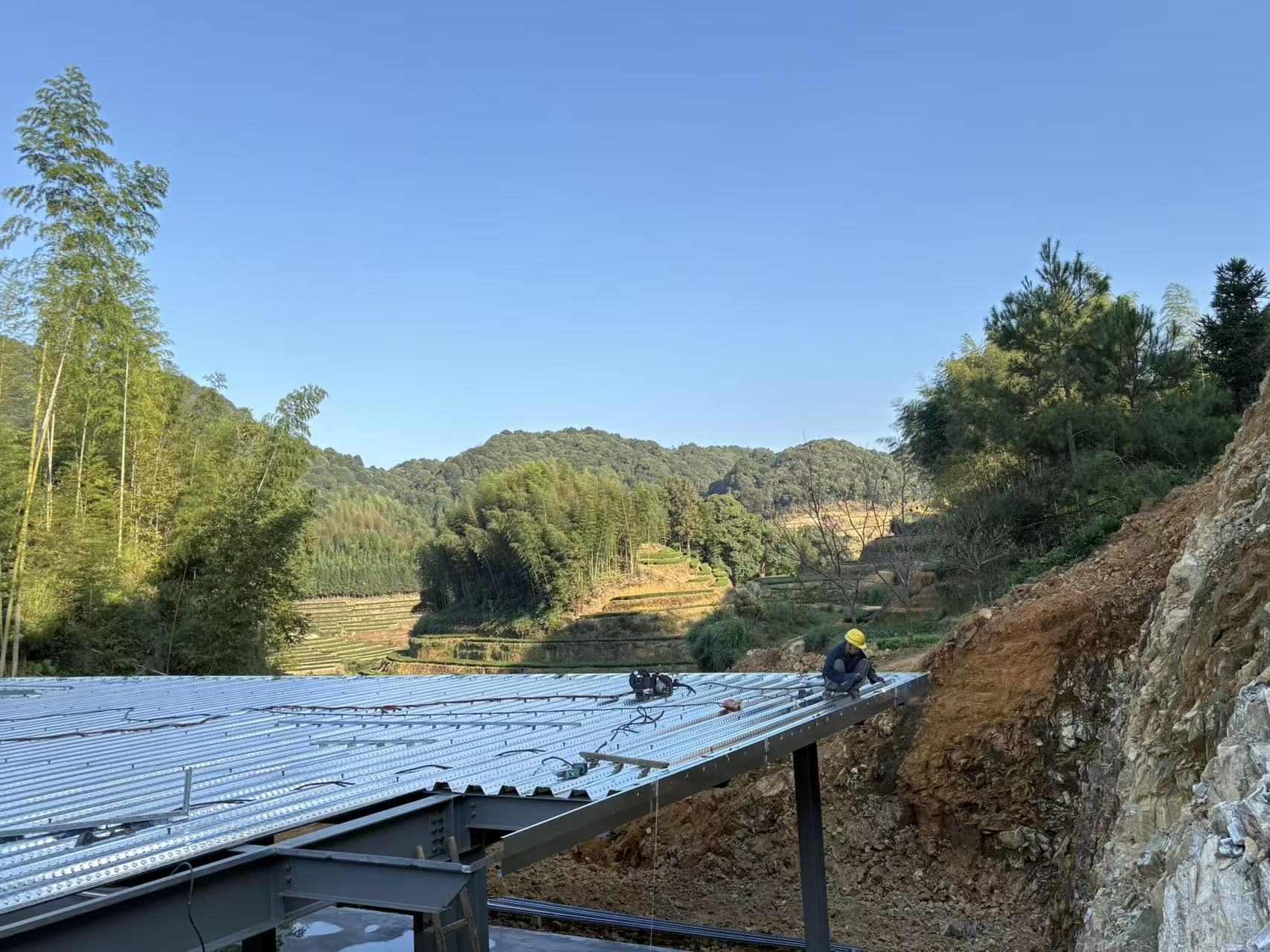 福建华安县：做好“一片叶” 带动“百业兴”