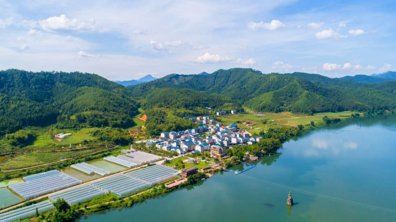 山青水绿日子红——福建将乐生态共富记