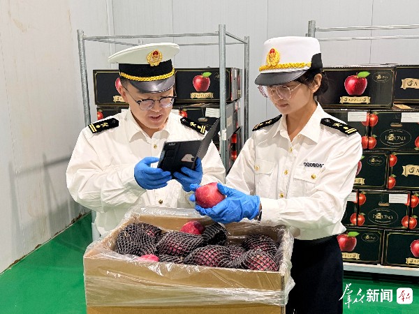 153箱绥德山地苹果顺利抵港 榆林苹果实现出口零的突破 153箱绥德山地苹果顺利抵港 榆林苹果实现出口零的突破