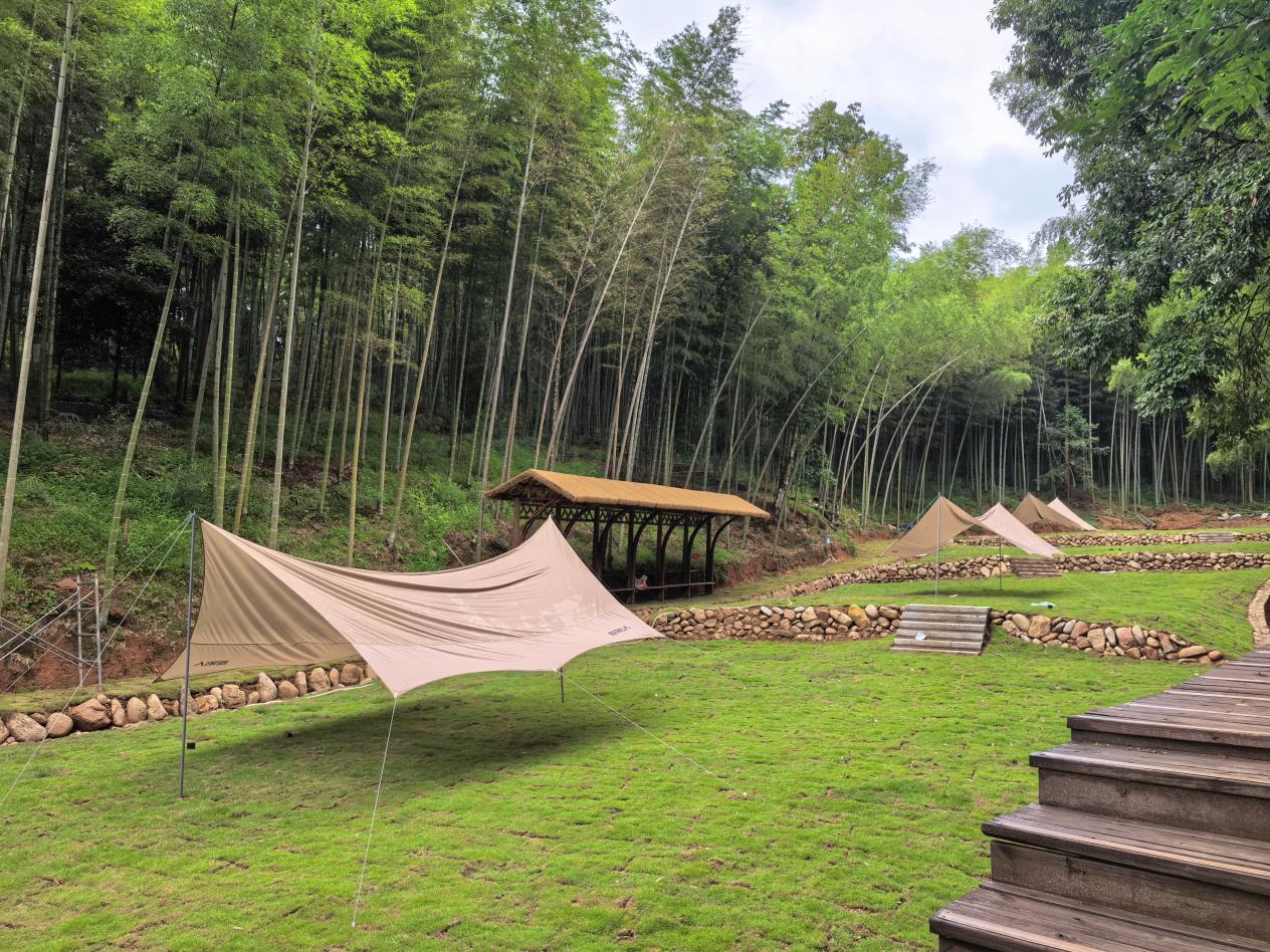 福建建瓯：用“一根竹”书写出万家共富经