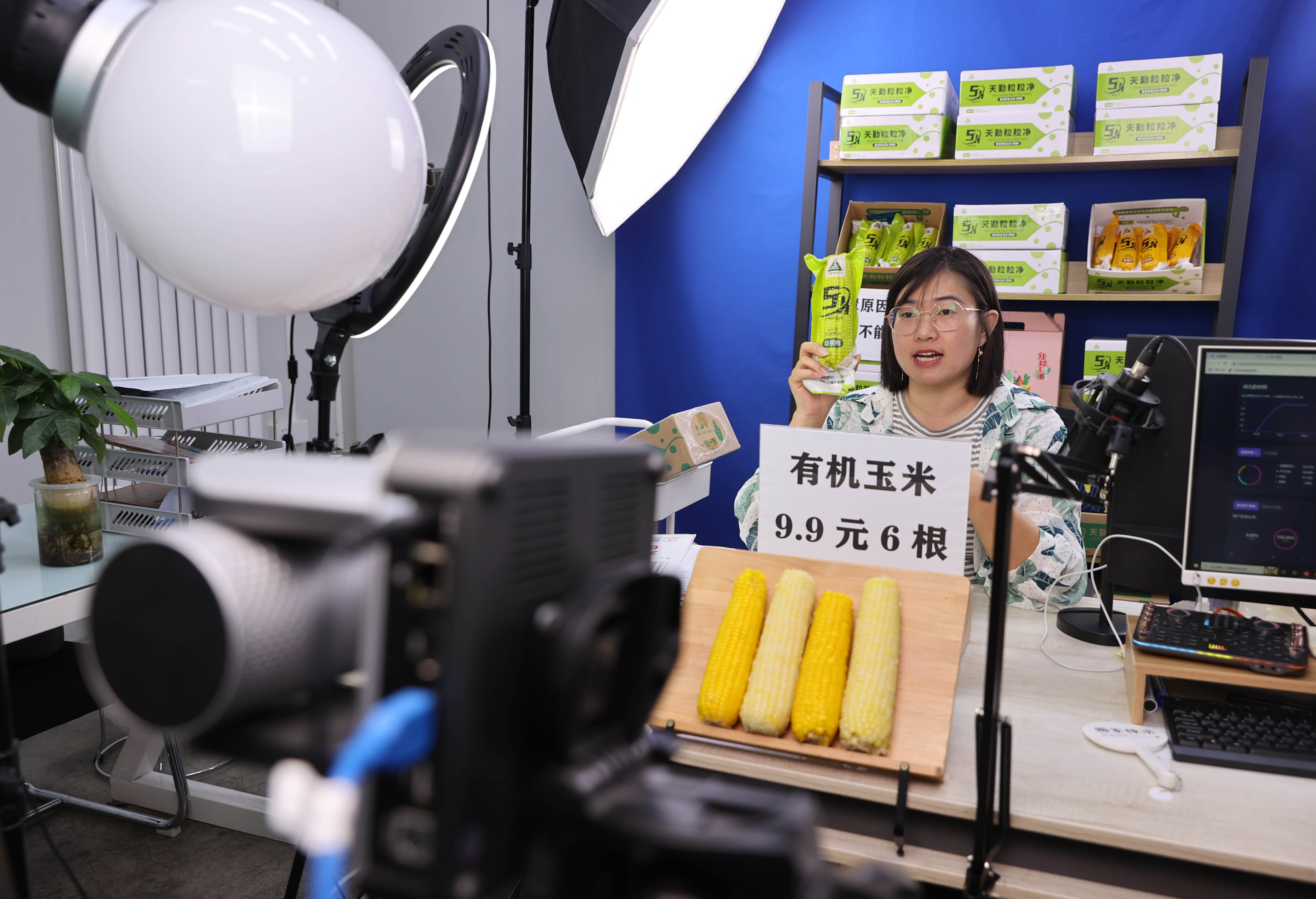 河北万全区：一粒小种子撬动一个大产业