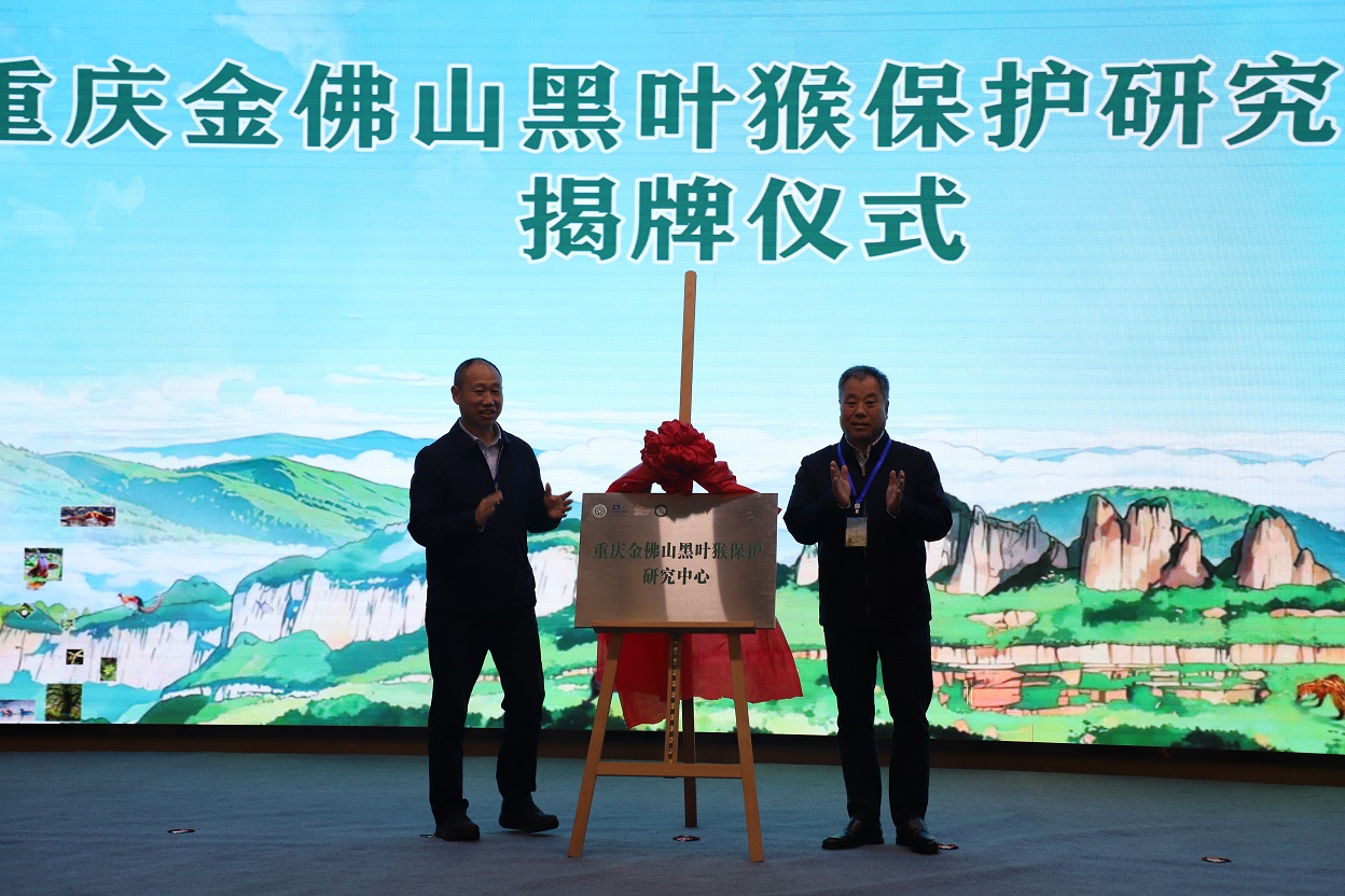 全国黑叶猴保护网络成立 开启区域一体化联护新篇章