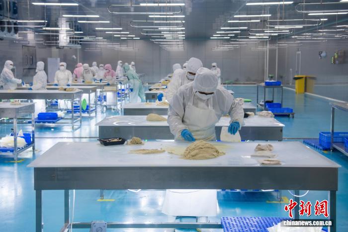 （活力中国）北部湾把港口优势转化为产业优势