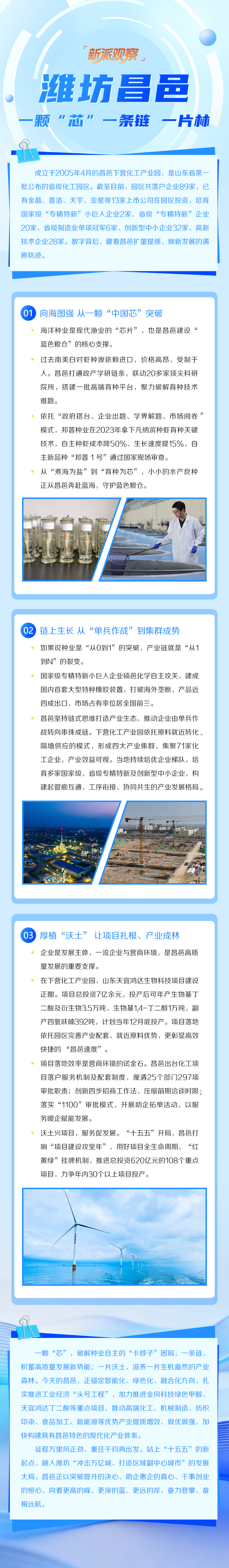 新派观察丨潍坊昌邑：一颗“芯”、一条链、一片林