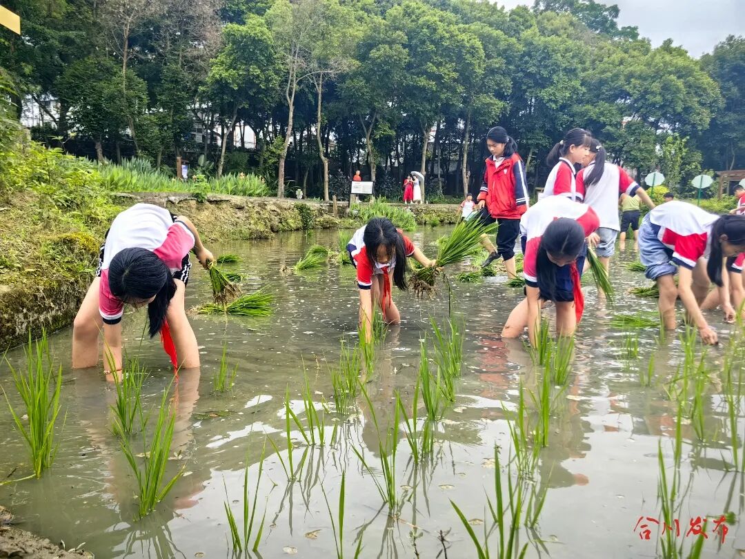 以行知之光 照育人之路——从一场学术盛会看合川打造“中国教育人必访地” 图片