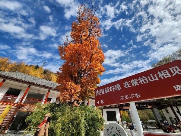 秦岭生态环境保护文化宣传系列活动（2026—2027）在留坝启动