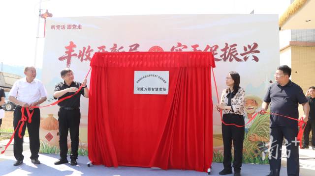 广东无人农场晚稻开镰:看河源农业如何从“会种田”变身“慧种田”