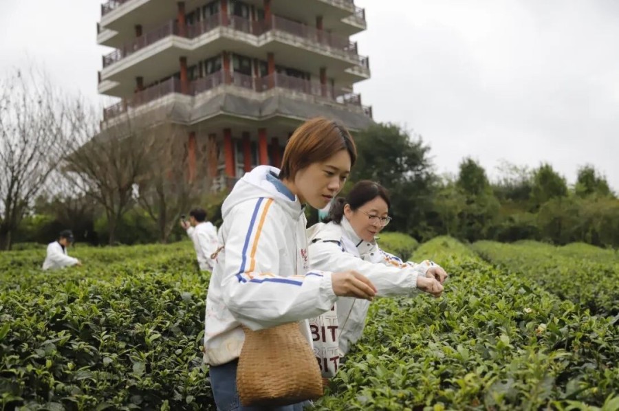 一场双向奔赴! 读懂珠遵青年交流背后的“红”和“绿”