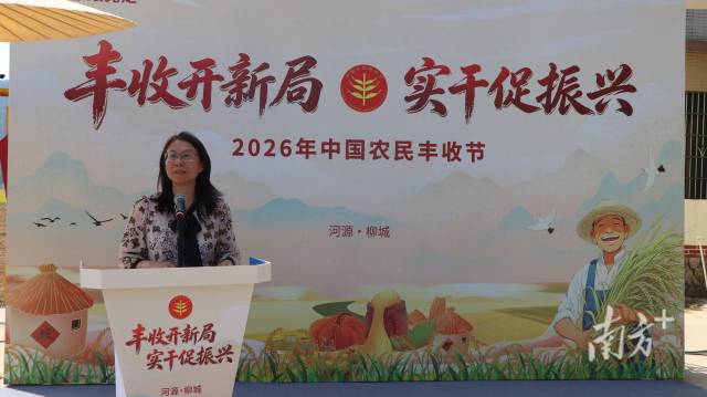 广东无人农场晚稻开镰:看河源农业如何从“会种田”变身“慧种田”