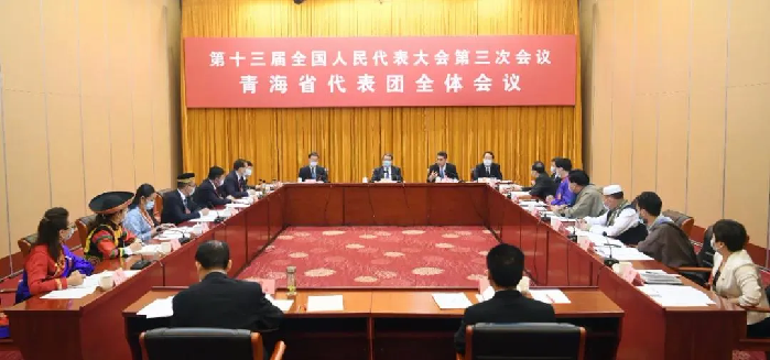 青海代表团认真审议政府工作报告 陈希出席并发言 王建军刘宁发言