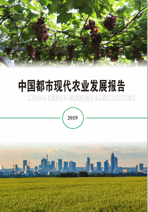 上海交大发布《中国都市现代农业发展报告》：沪京蓉蝉联全国前三甲