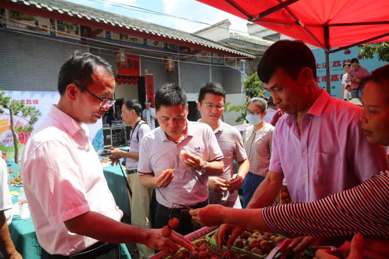 广西北流：电商助力特色农产品鼓起农民“钱袋子”