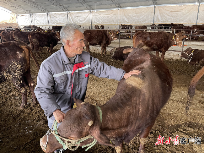 延链 补链 强链——看甘肃特色农业产业如何谋划“链”式发展