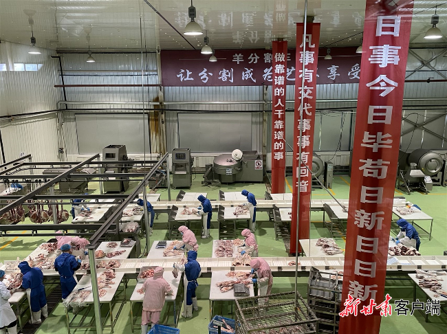 延链 补链 强链——看甘肃特色农业产业如何谋划“链”式发展