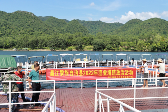 海南昌江增殖放流 投放110余万尾鱼苗