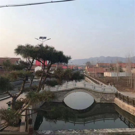 中央专项彩票公益金 助力人居环境提升 为乡村振兴增光添彩