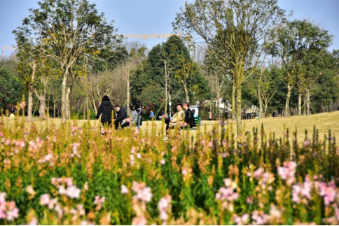四川成都双流黄水镇：村庄变景点 荒地变公园