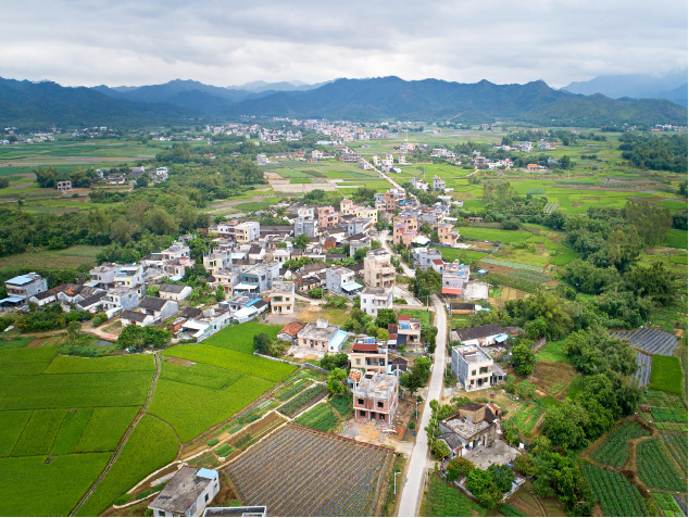 惠东梁化：打造示范镇域样板，全力以赴构筑农业产业强镇