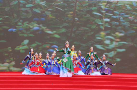喜迎二十大·伊莓启新程丨中国·伊春第九届蓝莓文化节系列活动盛大启幕