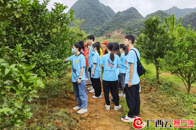广西青年学子暑期“三下乡”：扎实推进民族团结与乡村振兴同频共振