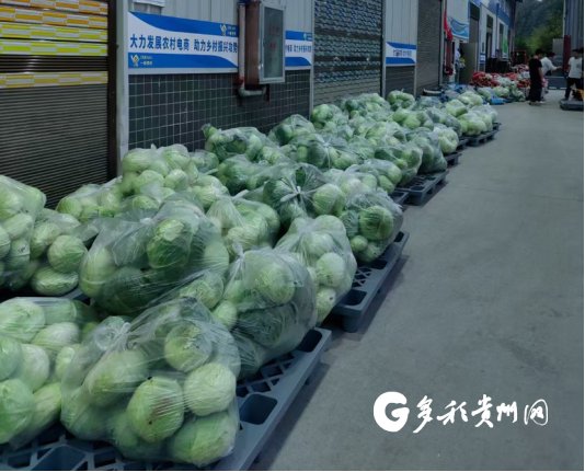 黔货云仓六盘水枢纽仓支援27吨保供蔬菜抵达贵阳