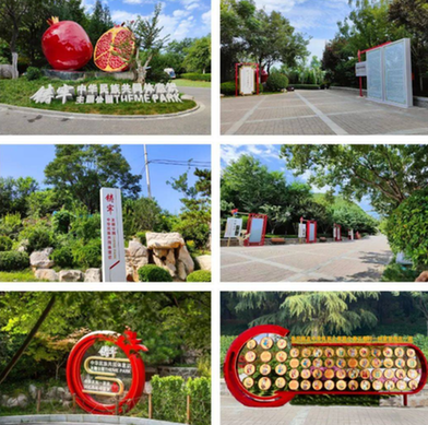 花开齐鲁石榴红 山东深化实施铸牢中华民族共同体意识“十大行动”