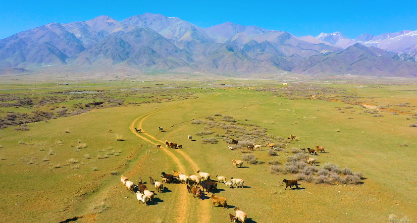 在新疆博州 与美景相遇