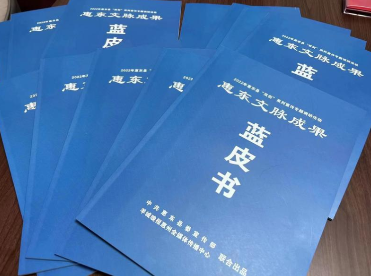 “惠东文脉”蓝皮书正式发布，56篇精品报道解码城市文化内涵