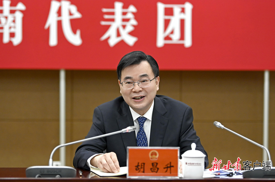 胡昌升在陇南代表团审议时强调：发挥比较优势聚力培优育强，加快现代化新陇南建设步伐