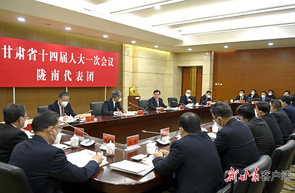 胡昌升在陇南代表团审议时强调：发挥比较优势聚力培优育强，加快现代化新陇南建设步伐