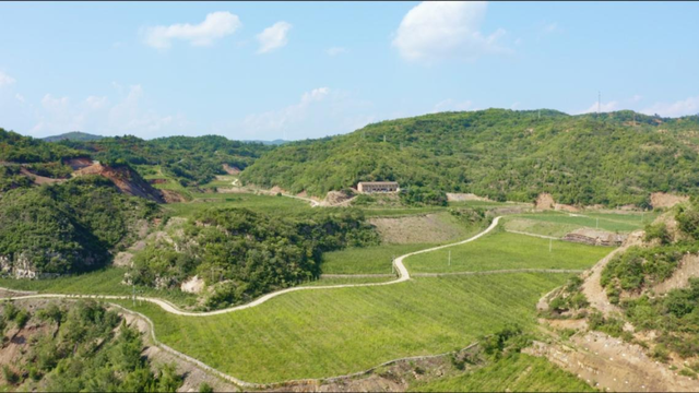 绿水青山入画来——河南省南太行地区山水林田湖草生态保护修复纪实