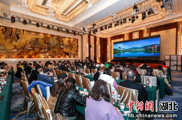 黄梅东山问梅村赴武汉推介 景区直通车每周发班