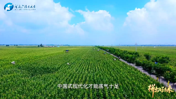 青听 | 红旗渠畔的村庄