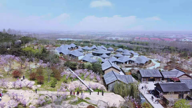 跟着旅发大会游山东 | “樱”你而来，美！