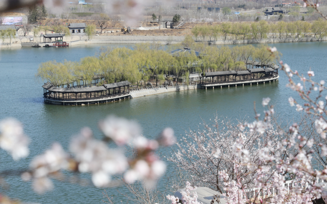 跟着旅发大会游山东 | “樱”你而来，美！