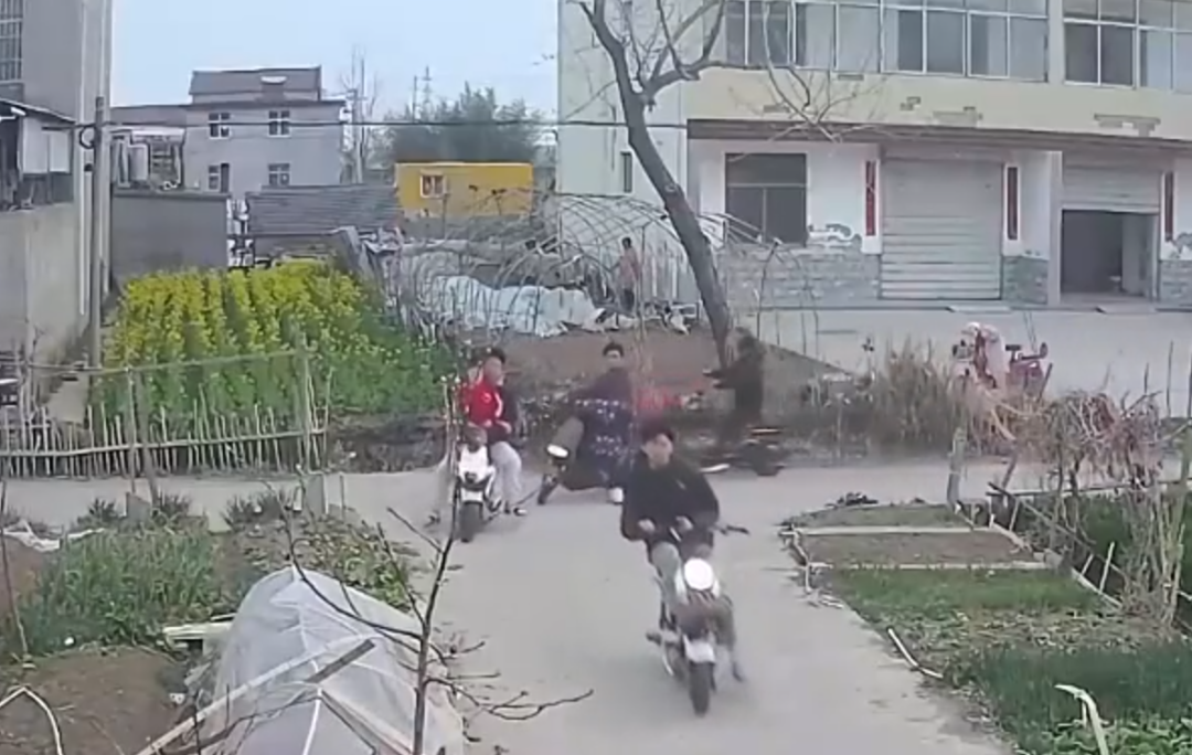 点名表扬，吴清阳、陈轼韬、杨珍宇！