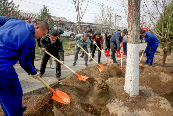 第39个首都义务植树日：北京157万人次参与义务植树